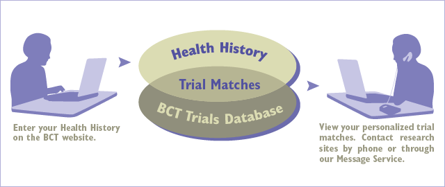 How Our Website Works